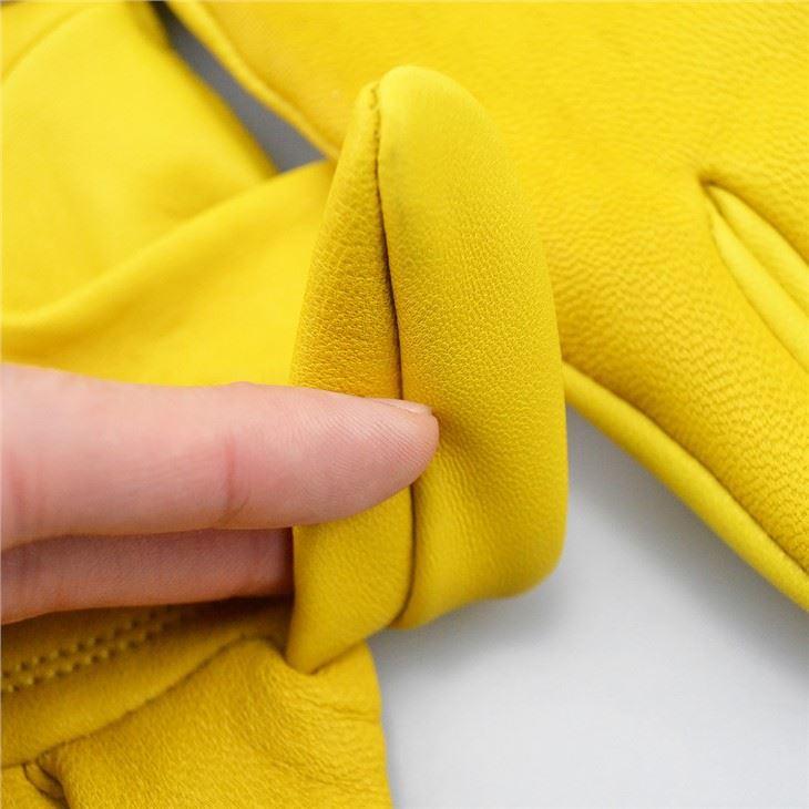 garden gloves logo